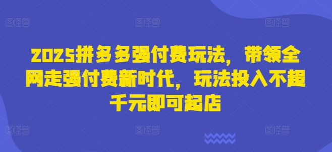 2025拼多多强付费玩法，带领全网走强付费新时代，玩法投入不超千元即可起店-轻创终点站