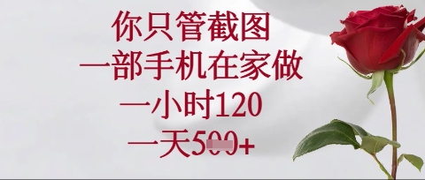 你只管截图,一部手机在家操作,一小时120.一天5张【揭秘】-轻创终点站